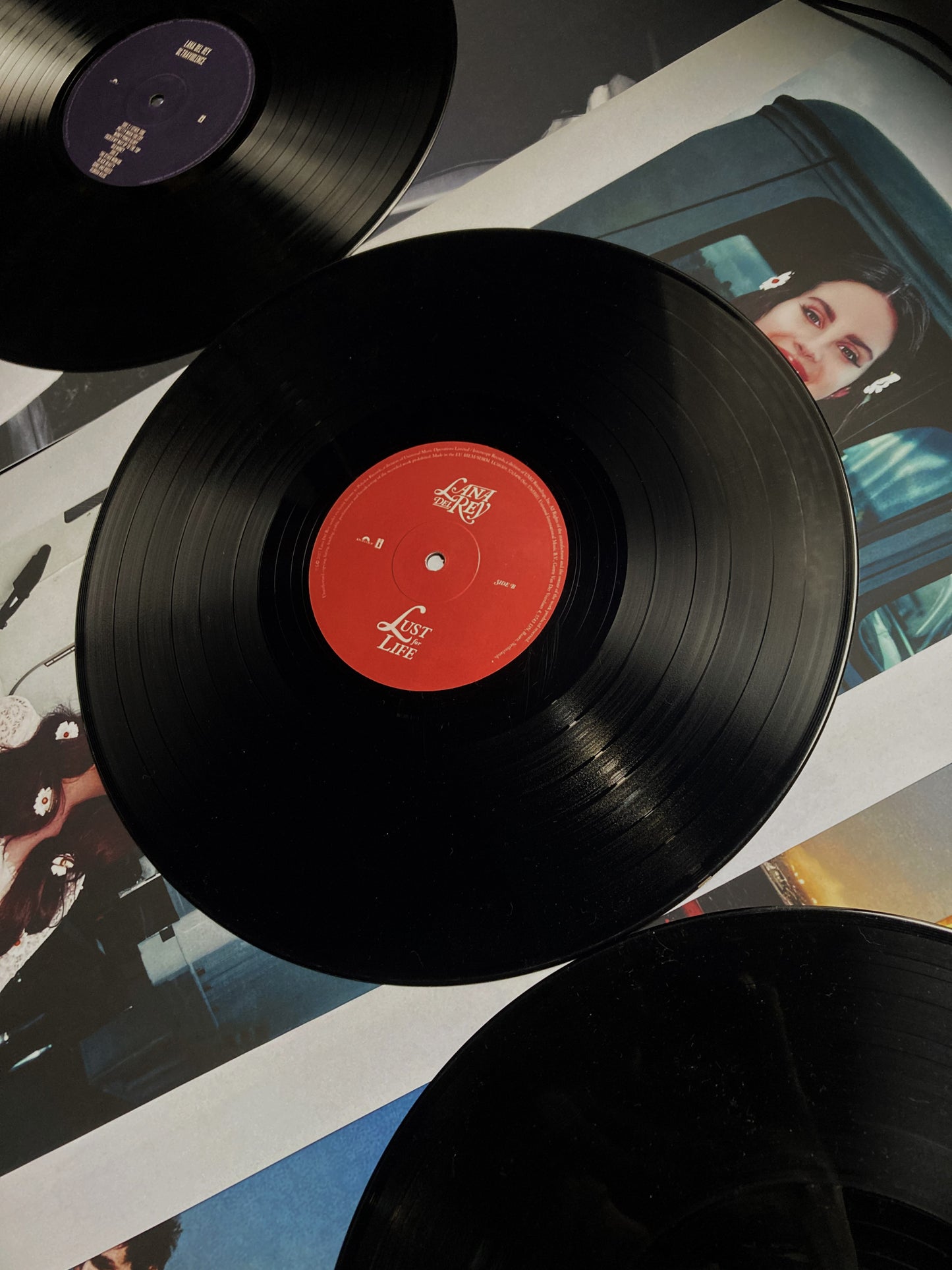 VINYL RECORDS - LANA DEL REY